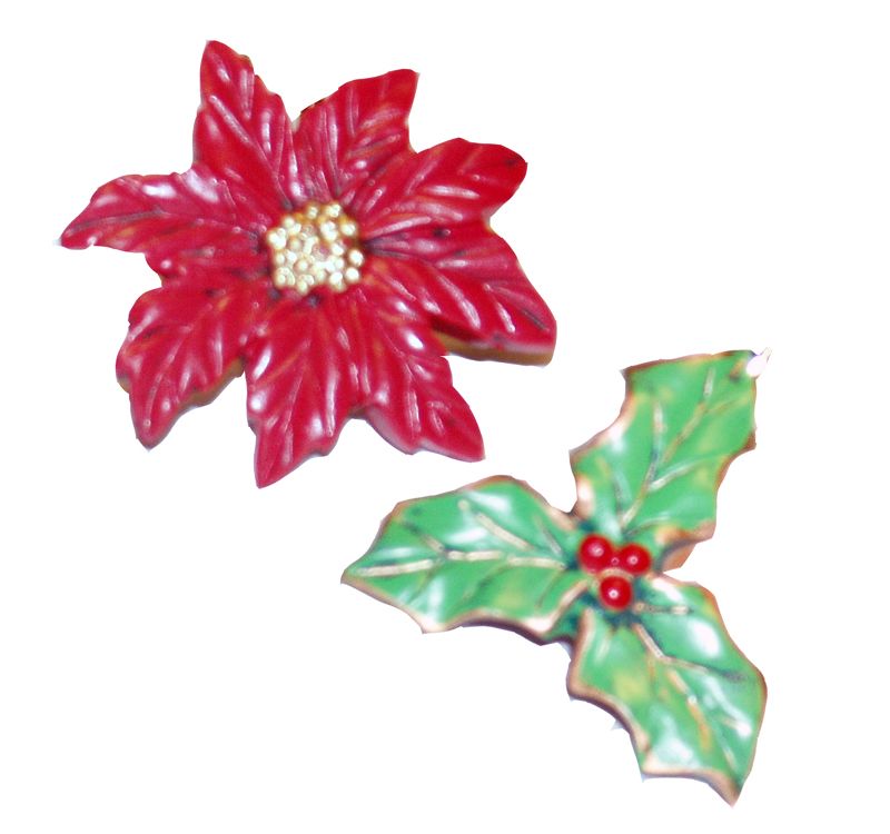Carnation Home Fashions "Poinsettia" Resin Shower Curtain Hooks Set of 12 - Multicolor