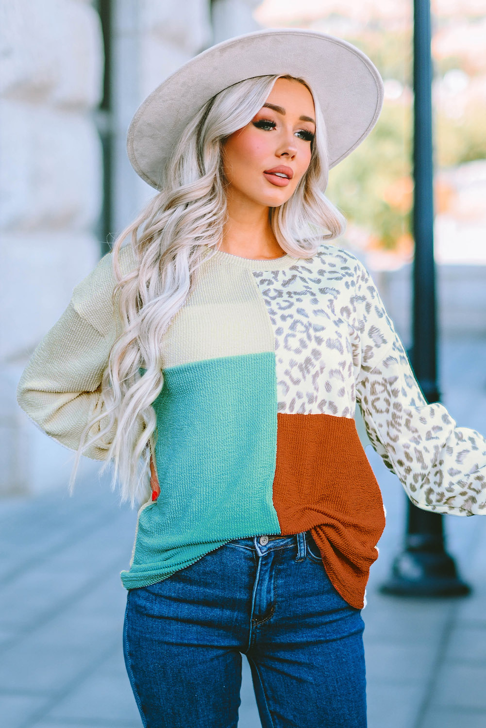 Cheetah Print Color Block Casual Pullover Long Sleeve Top