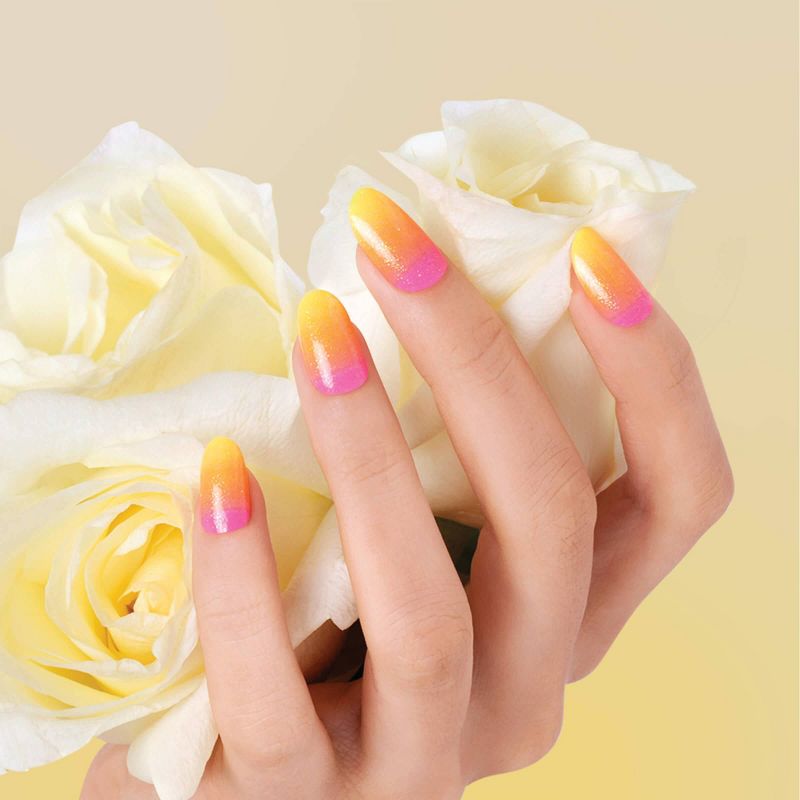 Tweezerman Sole Smoother Anti-Bacterial Callus Stone