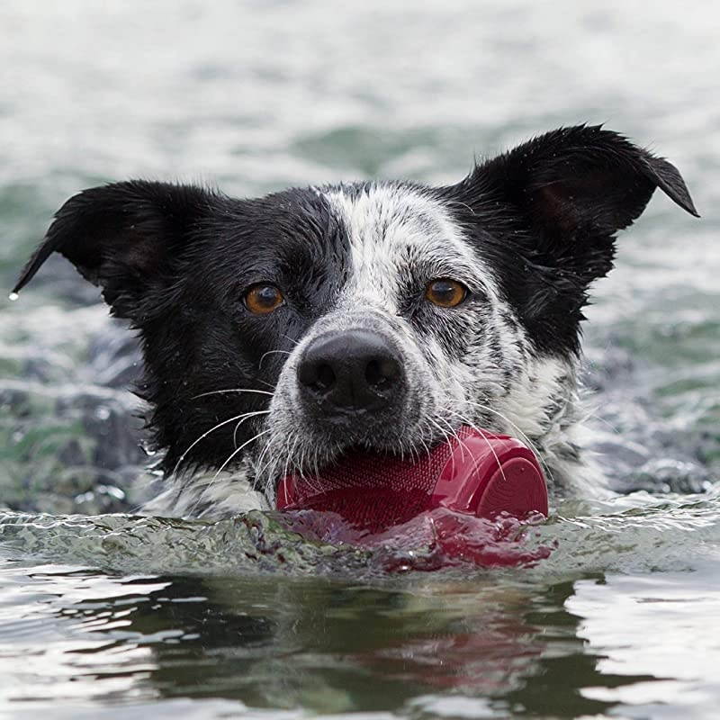 BRV-Mini - Waterproof Pairing Speaker - Rugged Portable Wireless Speaker - 12 Hours of Playtime - Red (604203555)