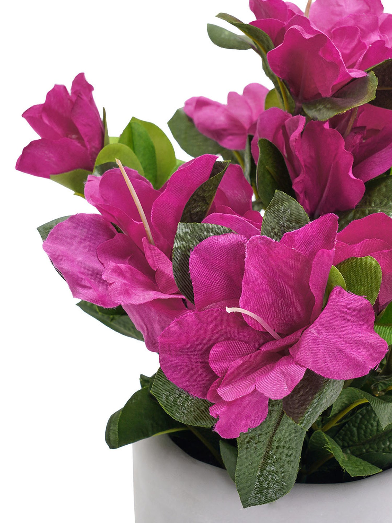 Pure Home and Living Pink Plastic Potted Plants