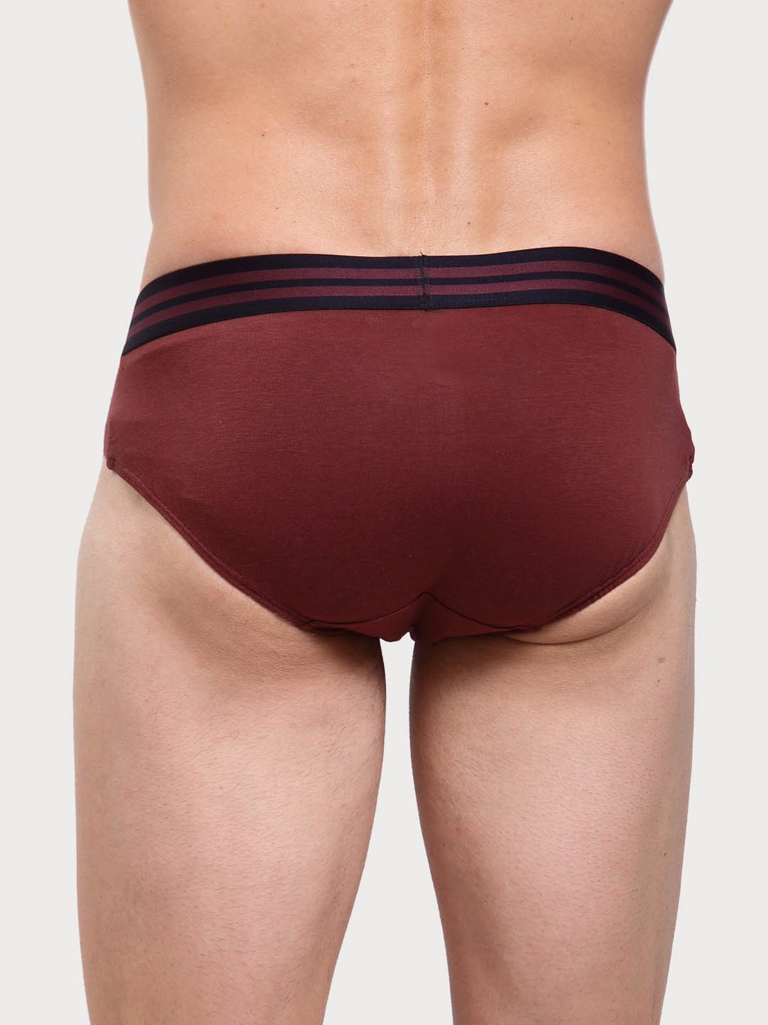 Zoiro Smoked Parl & Burgundy Cotton Regular Fit Briefs - Pack Of 2