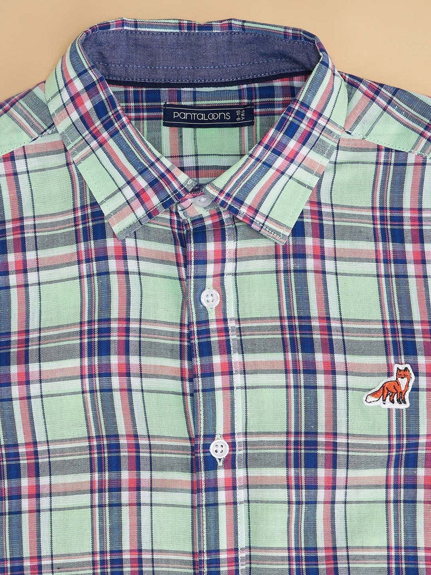 Pantaloons Junior Kids Pastel Green & Blue Cotton Chequered Shirt