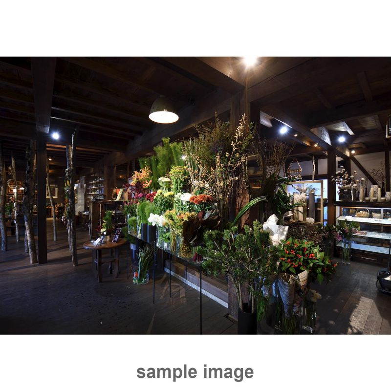 Tamron 10-24mm f/3.5-4.5 Di II VC HLD Lens - Nikon