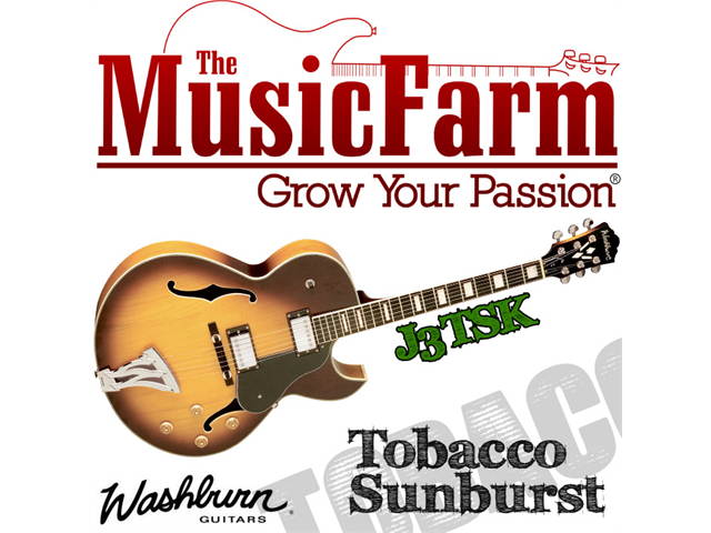 Washburn J3TSK Jazz Maple Electric Guitar with case