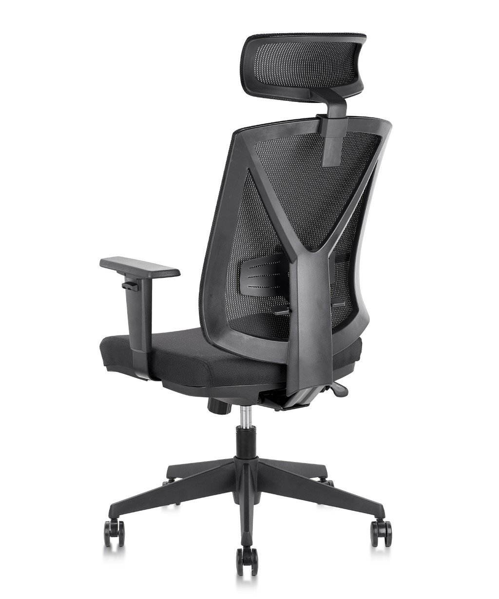 COLAMY Tito-Pro Ergonomic Mesh Desk Chair With Headrest