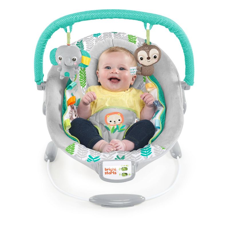 ​Fisher-Price Baby Bouncer