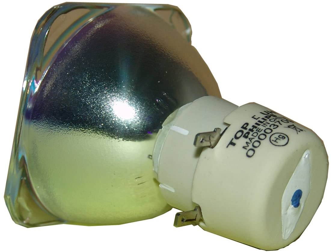 OMAIC Projector Lamp Bulb for Epson ELPLP67/ V13H010L67 Home Cinema PowerLite 500 707 710HD 750HD, W12 S12 EX5210 EX7210 EX3210 EX3212 VS210 VS220 X12 Replacement Projector Lamp/Bulb