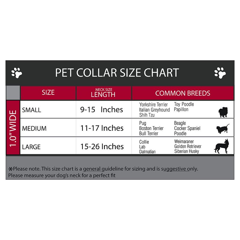 American Flag - Buckle-Down Dog Leash & Collar Set - S