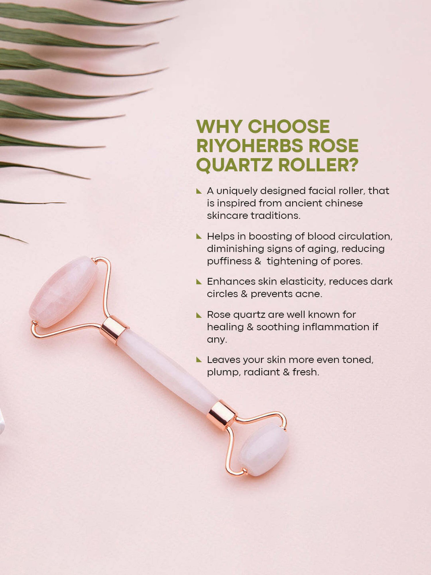 Bronson Professional 2-in-1 Soft Bristles Face Cleansing Brush (Color May Vary)