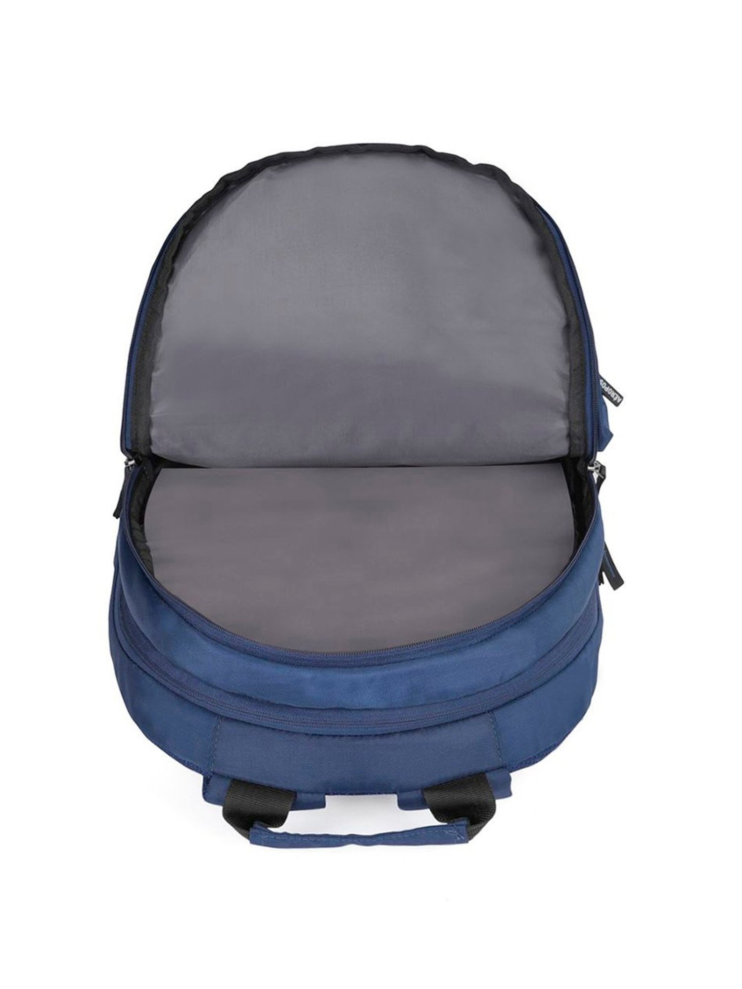 Aeropostale Wilton Navy & Off White Polyester Color Block Laptop Backpack - 24 Ltrs