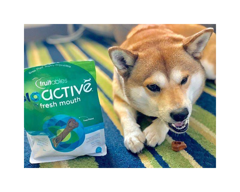 Fruitables BioActive Dental Chews for Tiny Dogs 6 Week Supply Dog Treats - 22ct