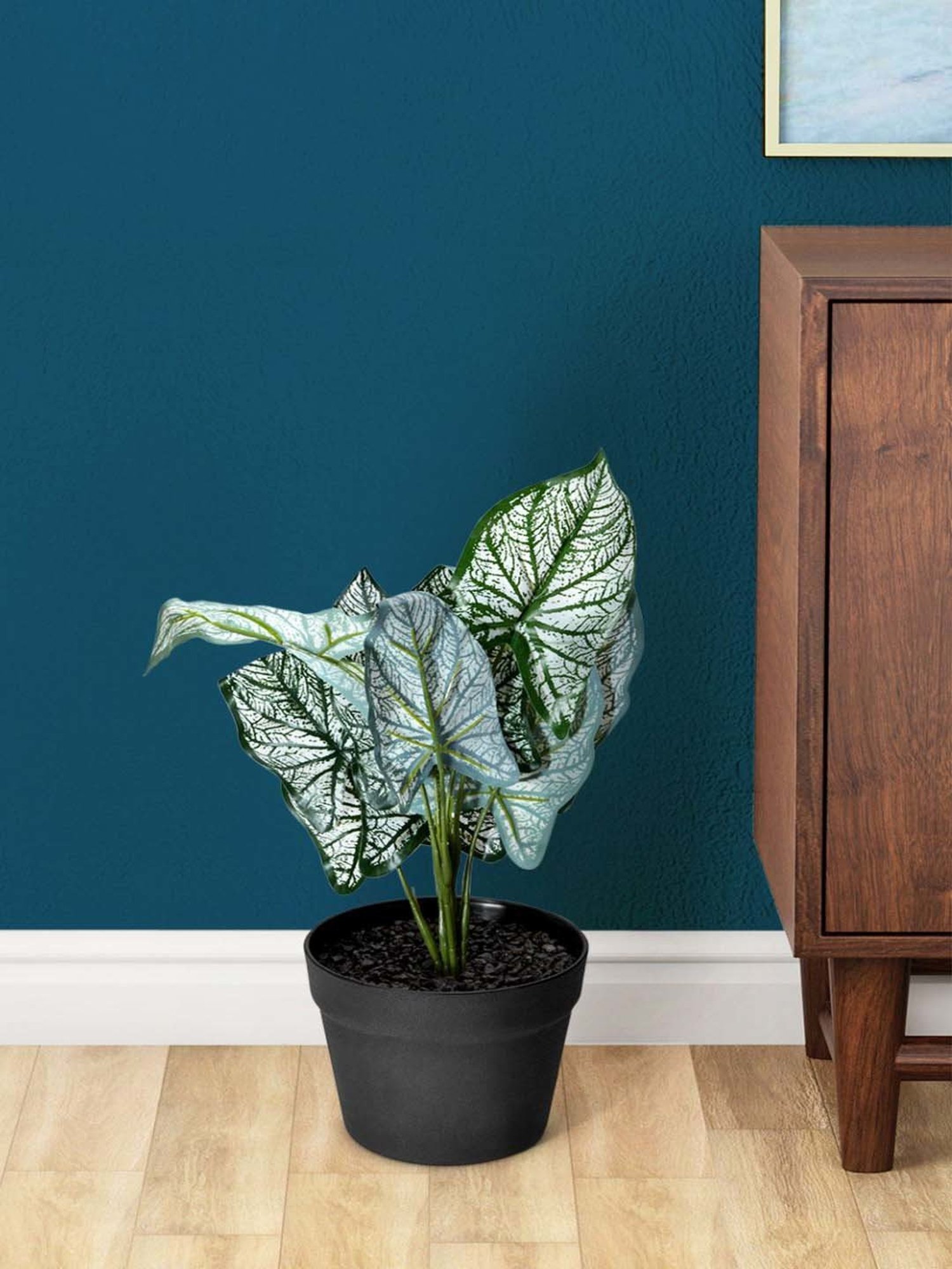 Living Scapes by Pantaloons Green Plastic Planter