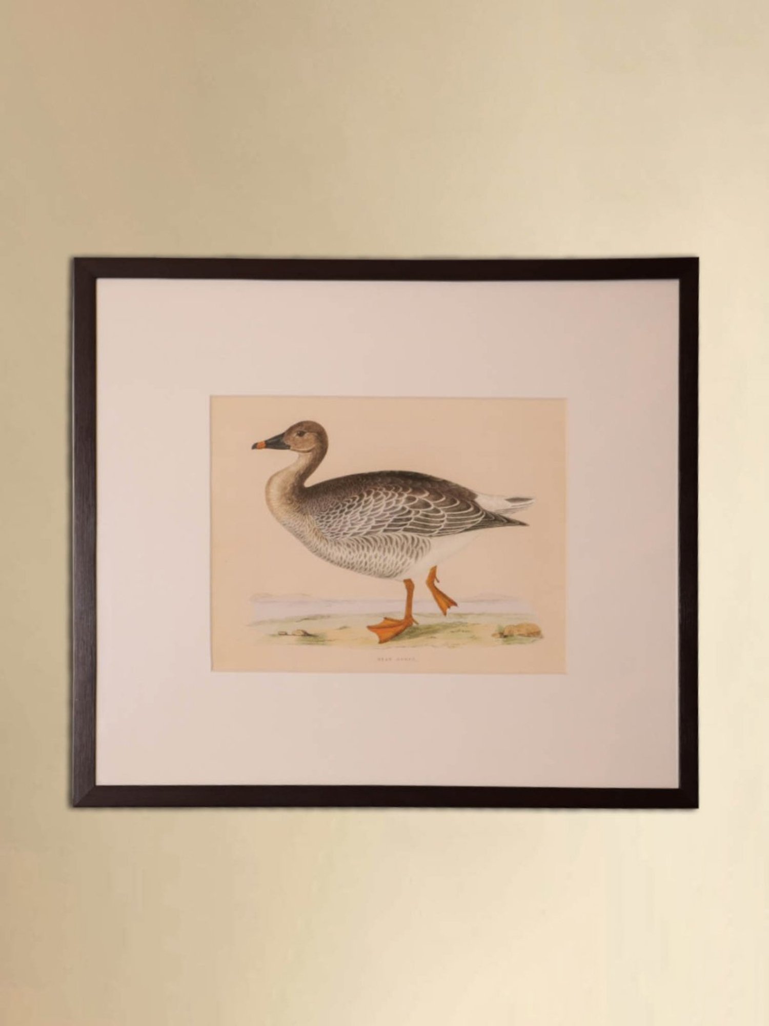 Home4U Cfo140069 Multicolor Ceramic Wall Art