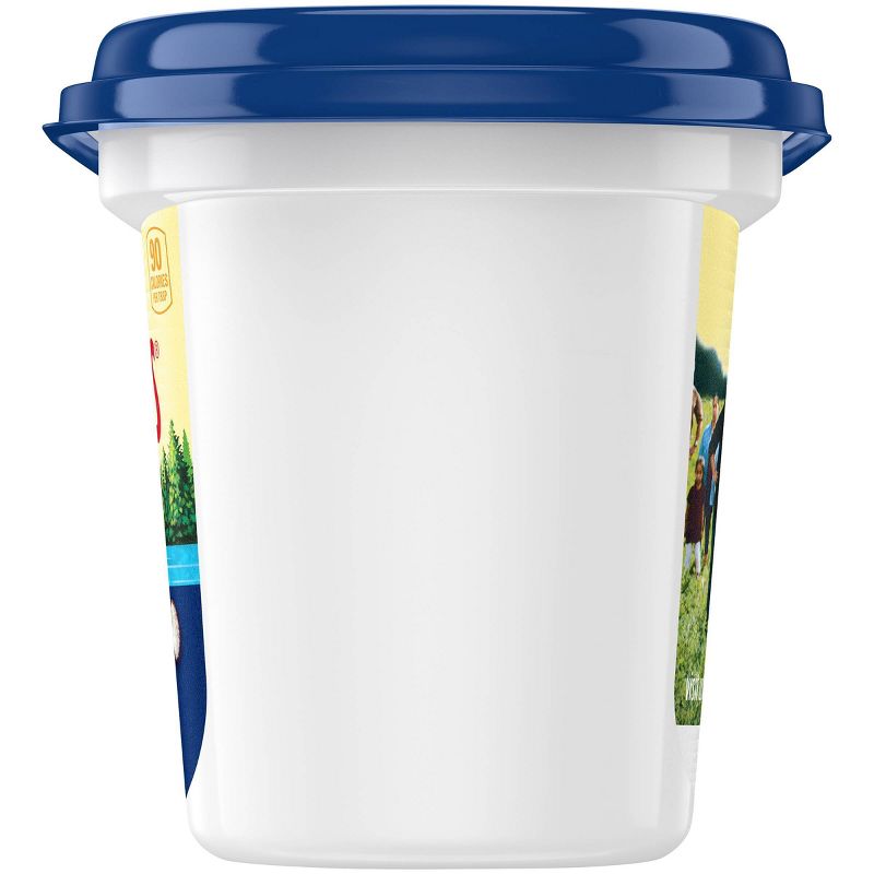 Land O Lakes Spreadable Butter with Olive Oil & Sea Salt - 13oz