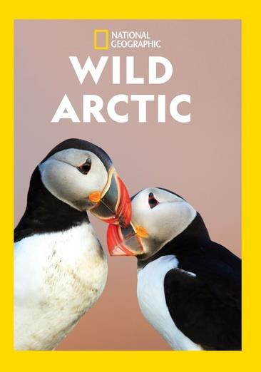 ALLIED VAUGHN MOD-NG-WILD ARCTIC (DVD/NON-RETURNABLE/2018) DNG01753D