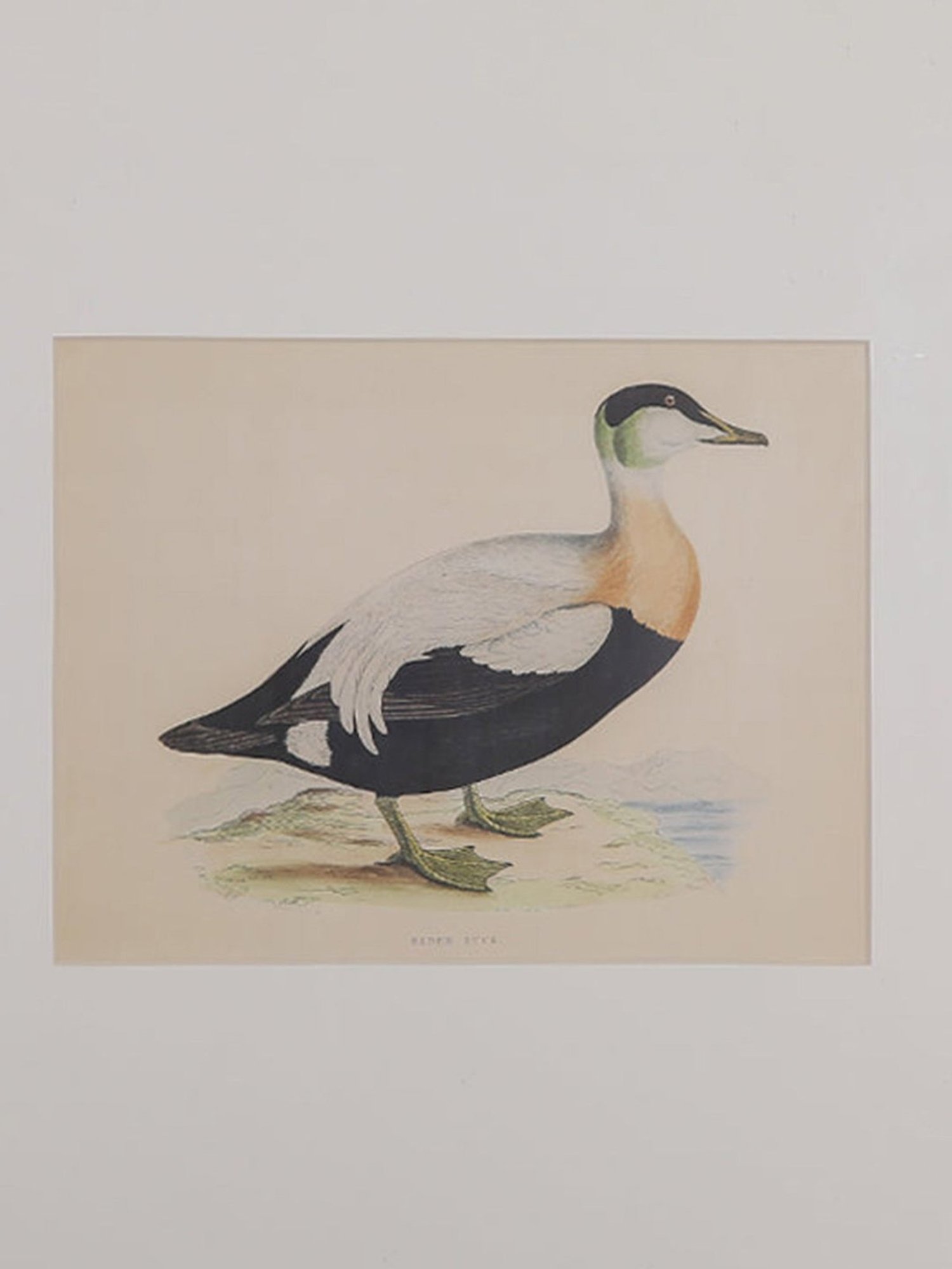 Home4U Cfo140054 Multicolor Ceramic Wall Art