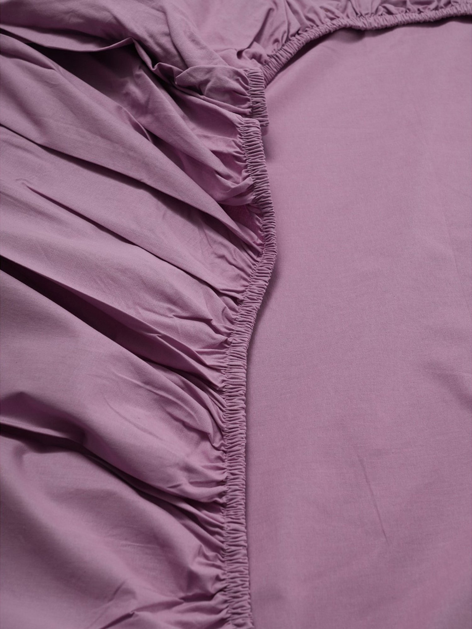 Maspar Colorart Eden Purple 144 TC Cotton Single Fitted Bed Sheet With 1 Pillow Cover