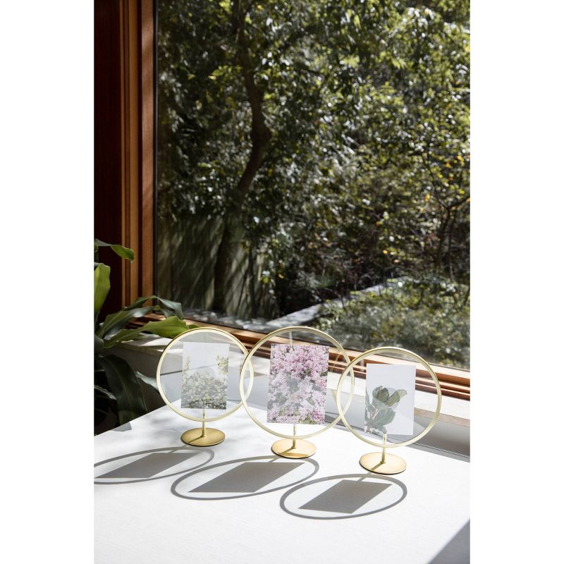 4" x 6" Infinity Single Photo Display Frame Matte Brass - Umbra