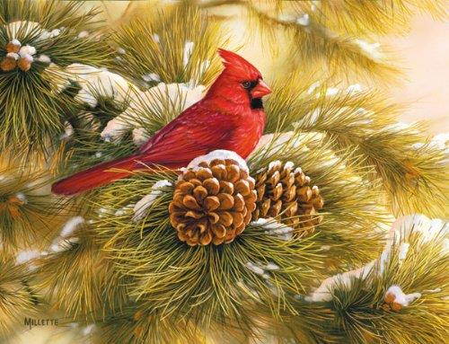 LANG - "December Dawn Cardinal", Boxed Christmas Cards, Artwork by Rosemary Millette" - 18 Cards, 19 envelopes - 5.375" x 6.875"
