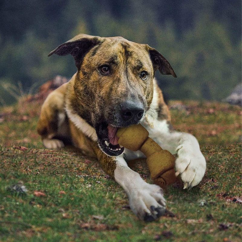 Cadet 4-5 Inch Rawhide Chicken Basted Knotted Bones (1 lb Pack)