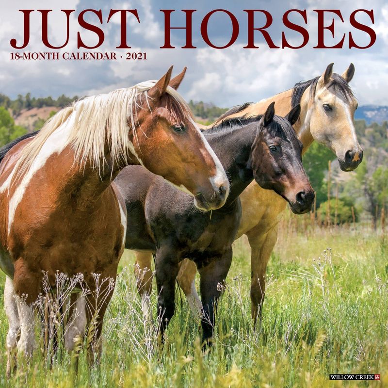 2021 Monthly Wall Calendar Just Horses - Willow Creek Press