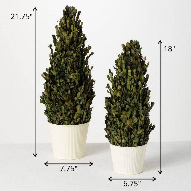Sullivans 1.8' &1.5' Boxwood Cone Artificial Tree Set of 2, 21.75"H & 18"H Green