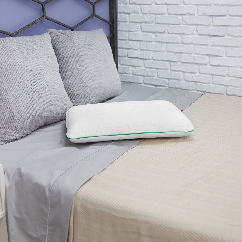 BioPEDIC Fresh and Clean Classic Comfort Memory Foam Pillow with Antimicrobial Ultra-Fresh Treated Fabric