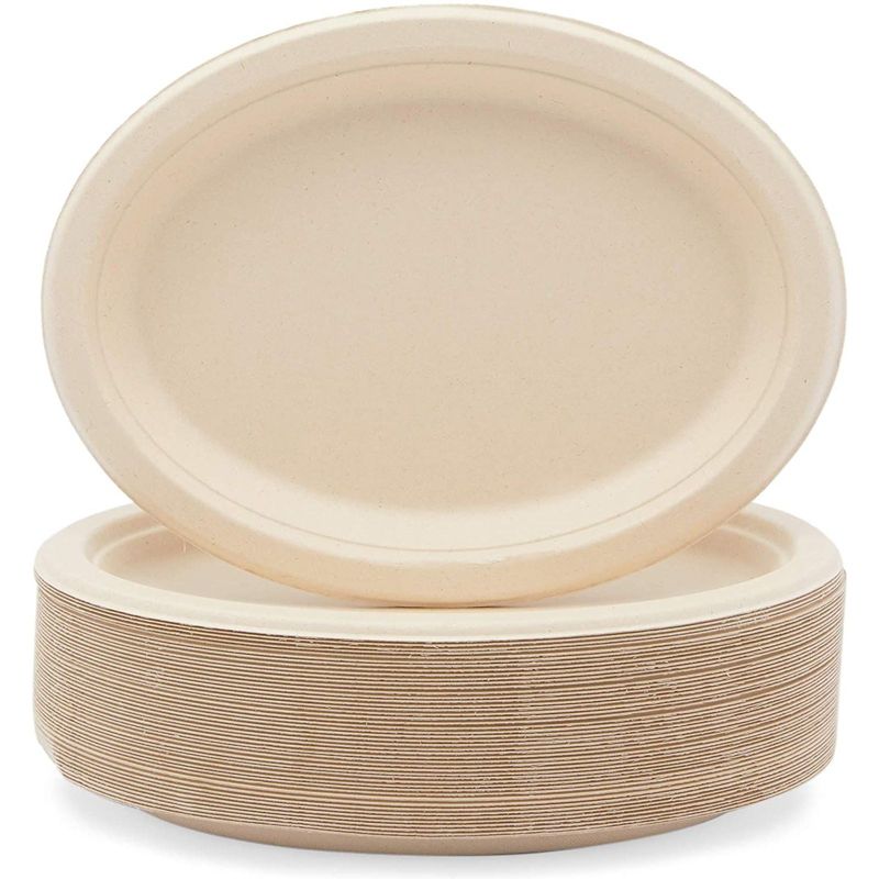 Okuna Outpost 50 Pack Sugarcane Bagasse Disposable Plates, Dinnerware for Birthday Party(10 x 8 In)