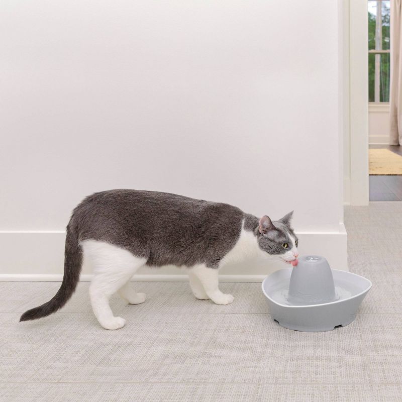 PetSafe Creekside Ceramic Pet Fountain - White