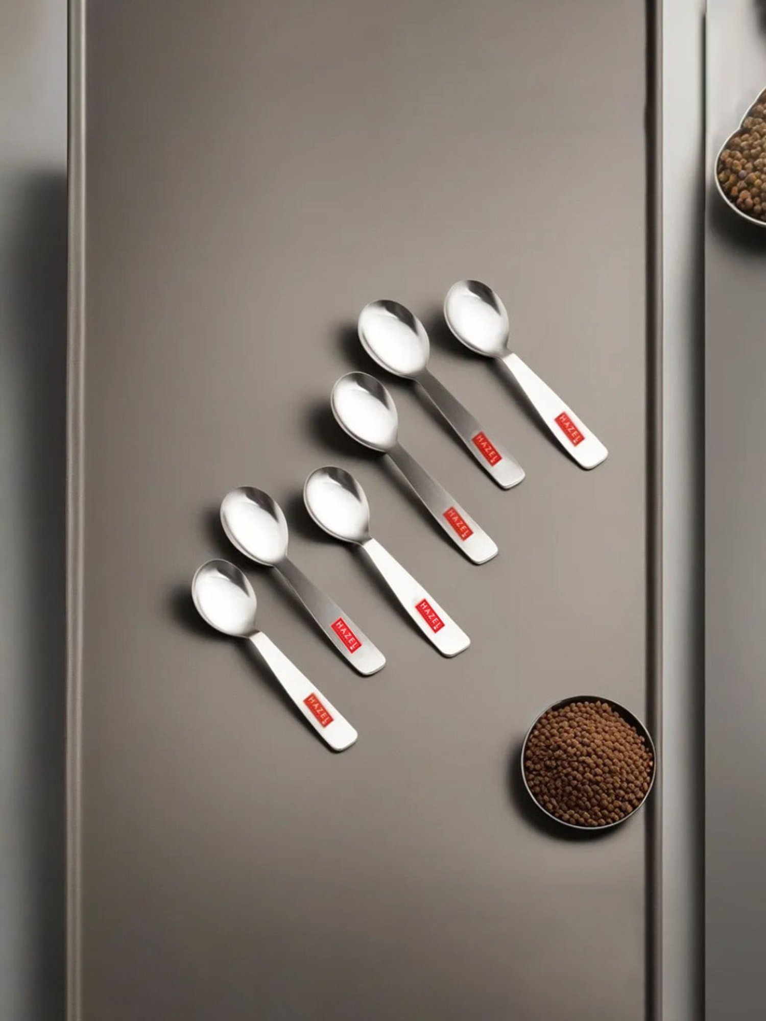 HAZEL Silver Stainless Steel Spice Box Mini Spoons - Set of 6