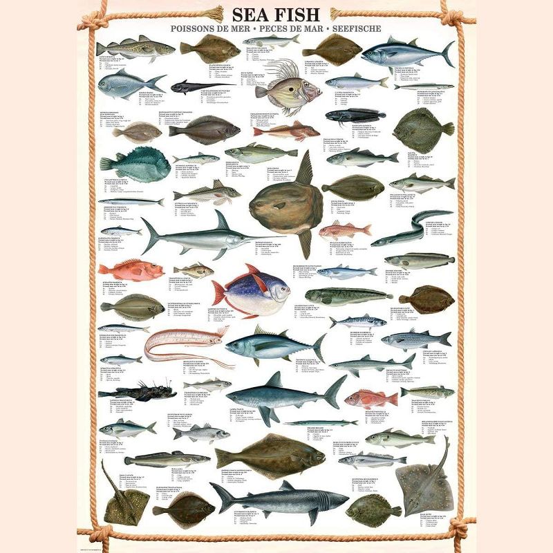 Eurographics Sea Fish 1000 Piece Jigsaw Puzzle