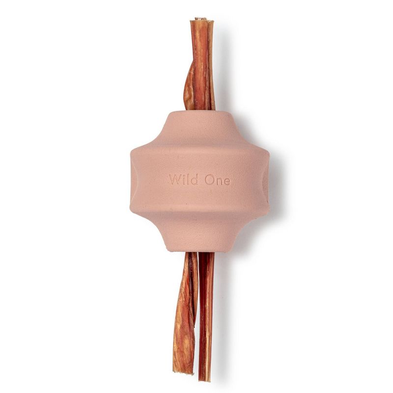 Wild One Twist Toss Interactive Dog Toy - Pink