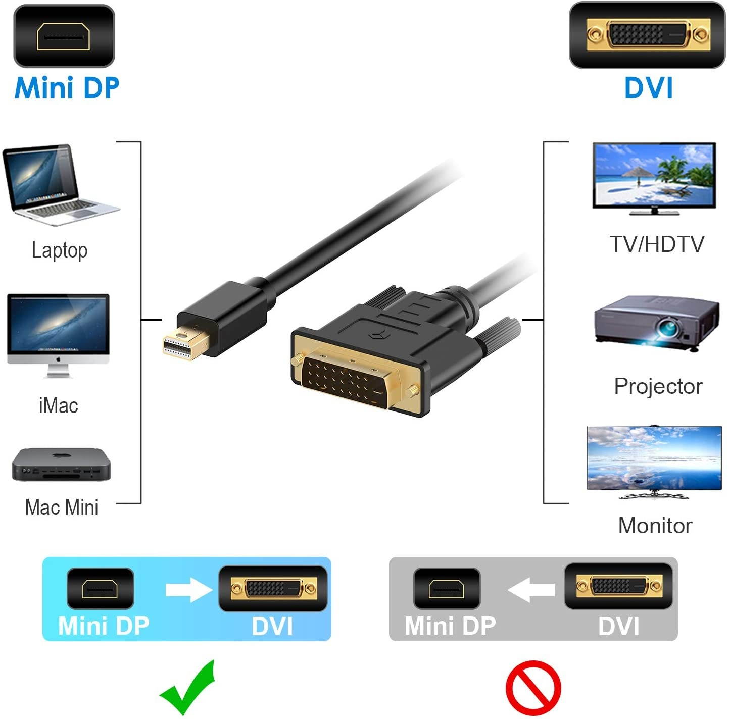 Rankie Mini DisplayPort (Mini DP) to DVI Cable Thunderbolt Port Compatible Gold Plated 6 Feet