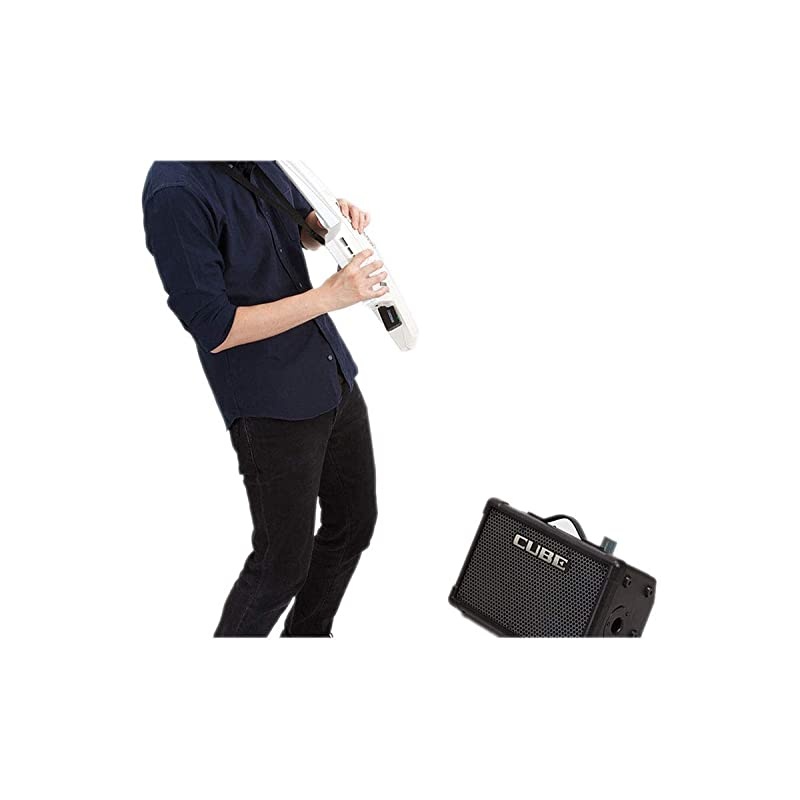 WL-20L Wireless Guitar System Transmitter and Receiver for Acoustic or Electric Guitar and Electronic Instruments (WL-20L)