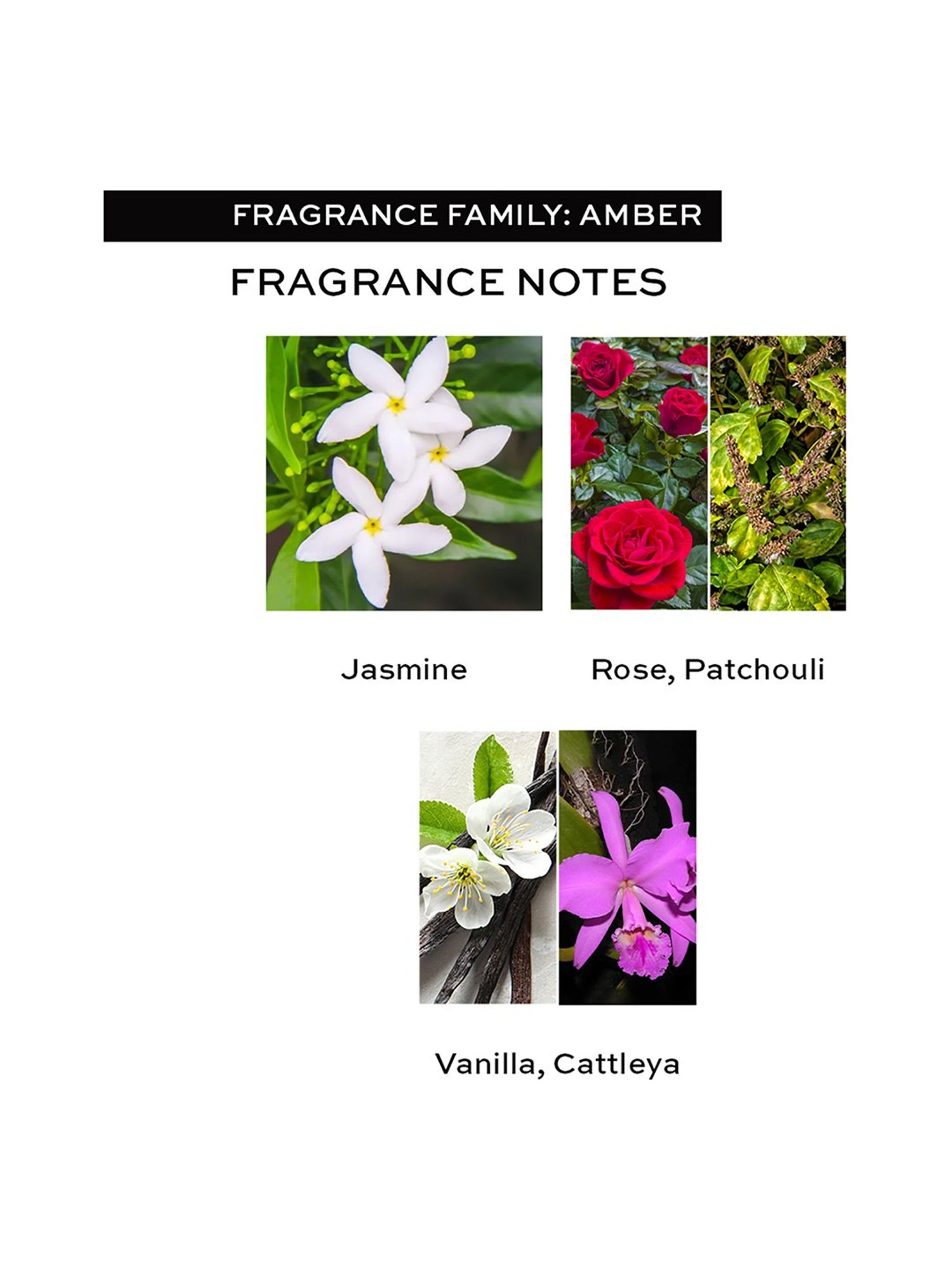 Revolution Creative EDT - 100 ml