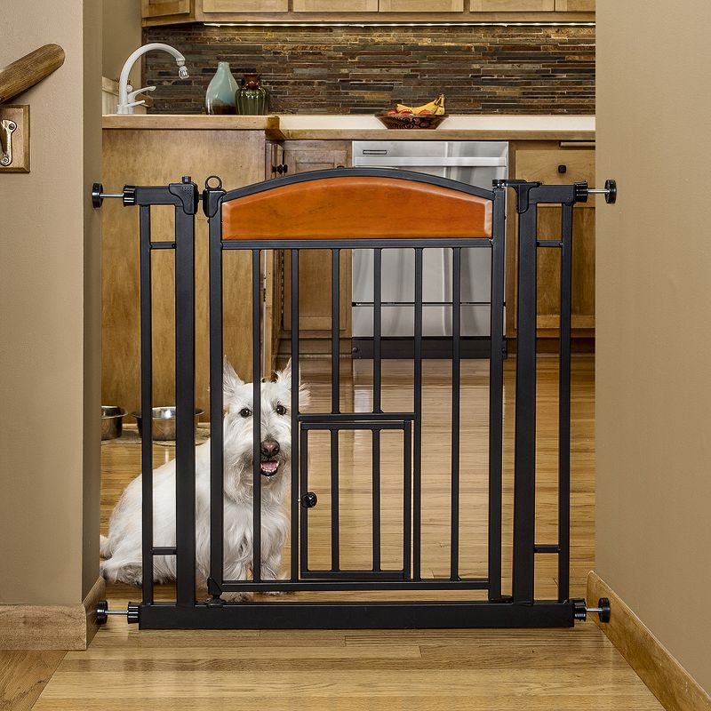 Carlson Pet Products Design Paw Automatic Easy Close Walk Through Indoor Home Doorway Pet/Baby Safety Gate, Black Metal Steel