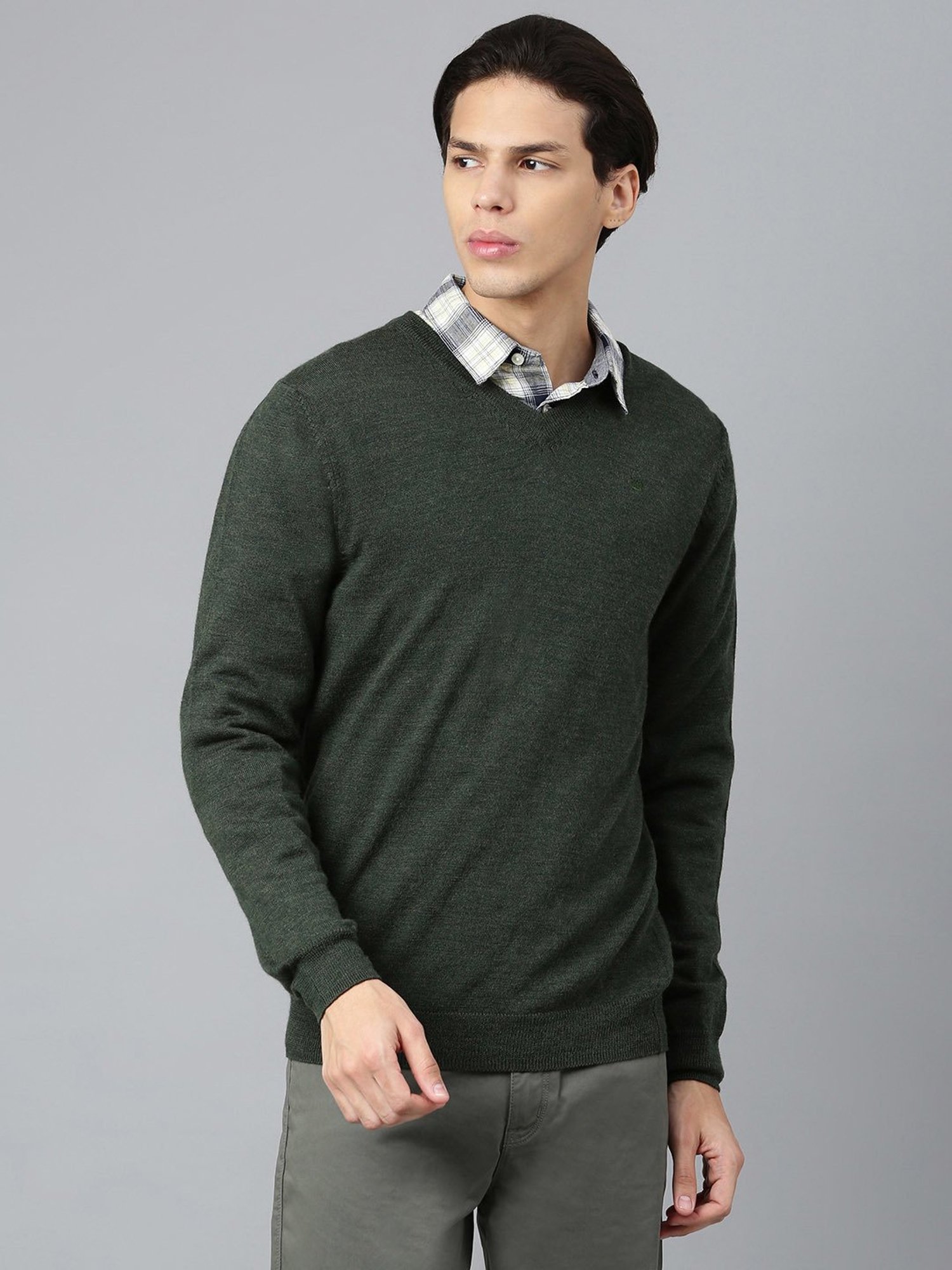 Woods Dark Green Regular Fit V Neck Sweater