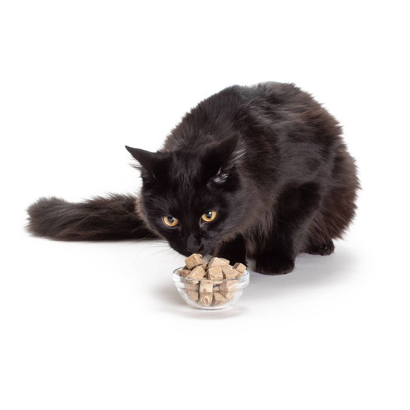 Hauspanther Freeze Dried Beef Liver Cat Treats - 1.5oz