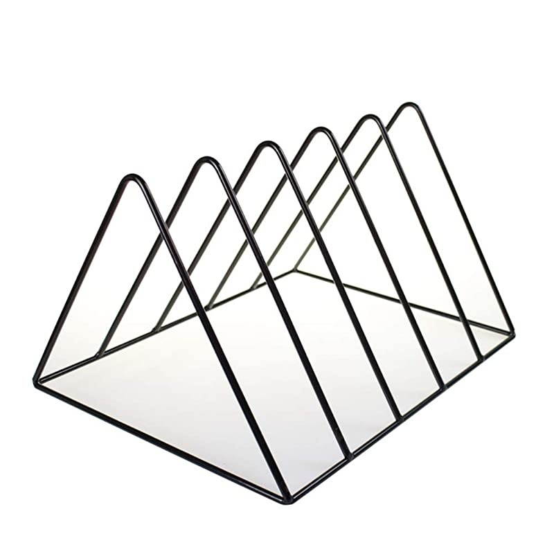 Vinyl Record Storage Holder Stand Premium Vinyl Coated Metal Wire Rack Holds up to 50 Album Lps Simple Functional and Contemporary Display Concept Design for 12 inch Records