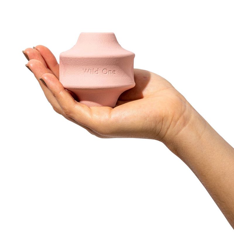 Wild One Twist Toss Interactive Dog Toy - Pink