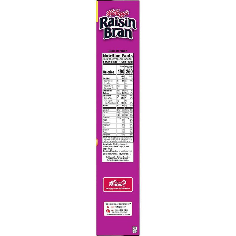 Raisin Bran Breakfast Cereal - 24oz - Kellogg's