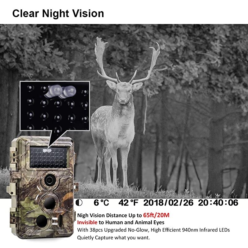 Trail Camera 16MP 1080P Game Camera with No Glow Night Vision Up to 65ft 02s Trigger Time Motion Activated 24quot Color Screen Waterproof Wildlife Hunting Camera