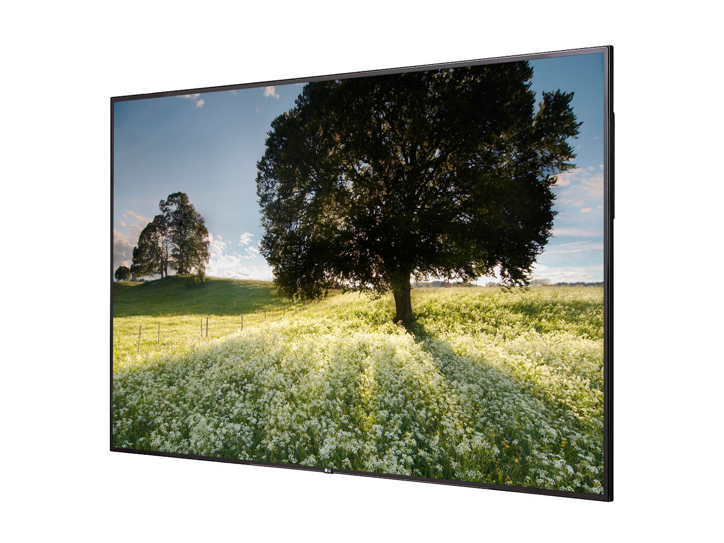 LG UH5F Series 75UH5F-H 75" Display Built-in Speaker