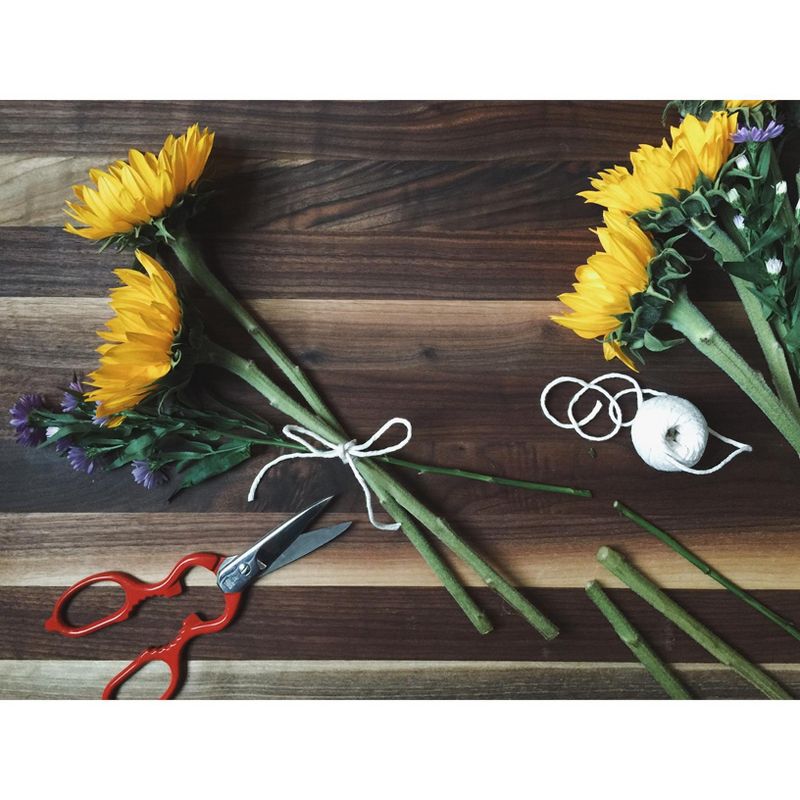 ZWILLING TWIN Select Take-Apart Poultry Shears