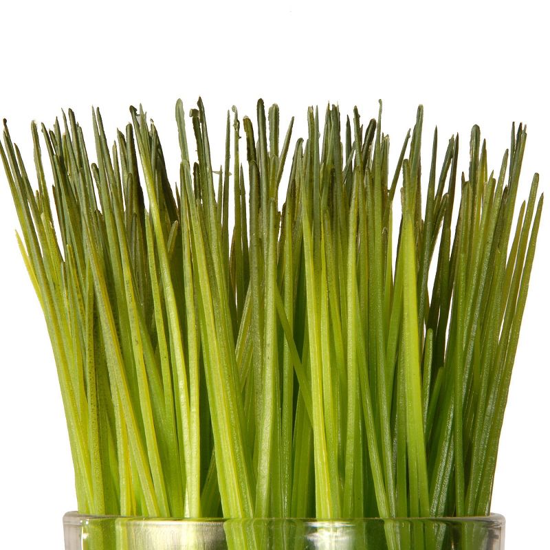 3pc Sprout-Filled Glass Artificial Assortment - National Tree Company