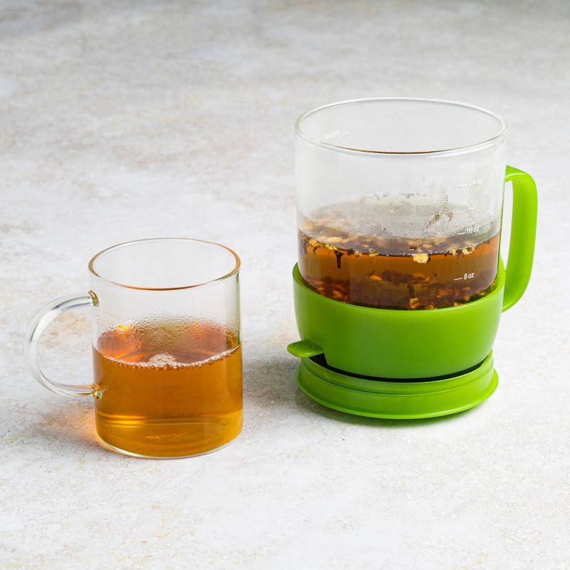 Primula 3-Cup Addison Glass Tea Steeper - Green