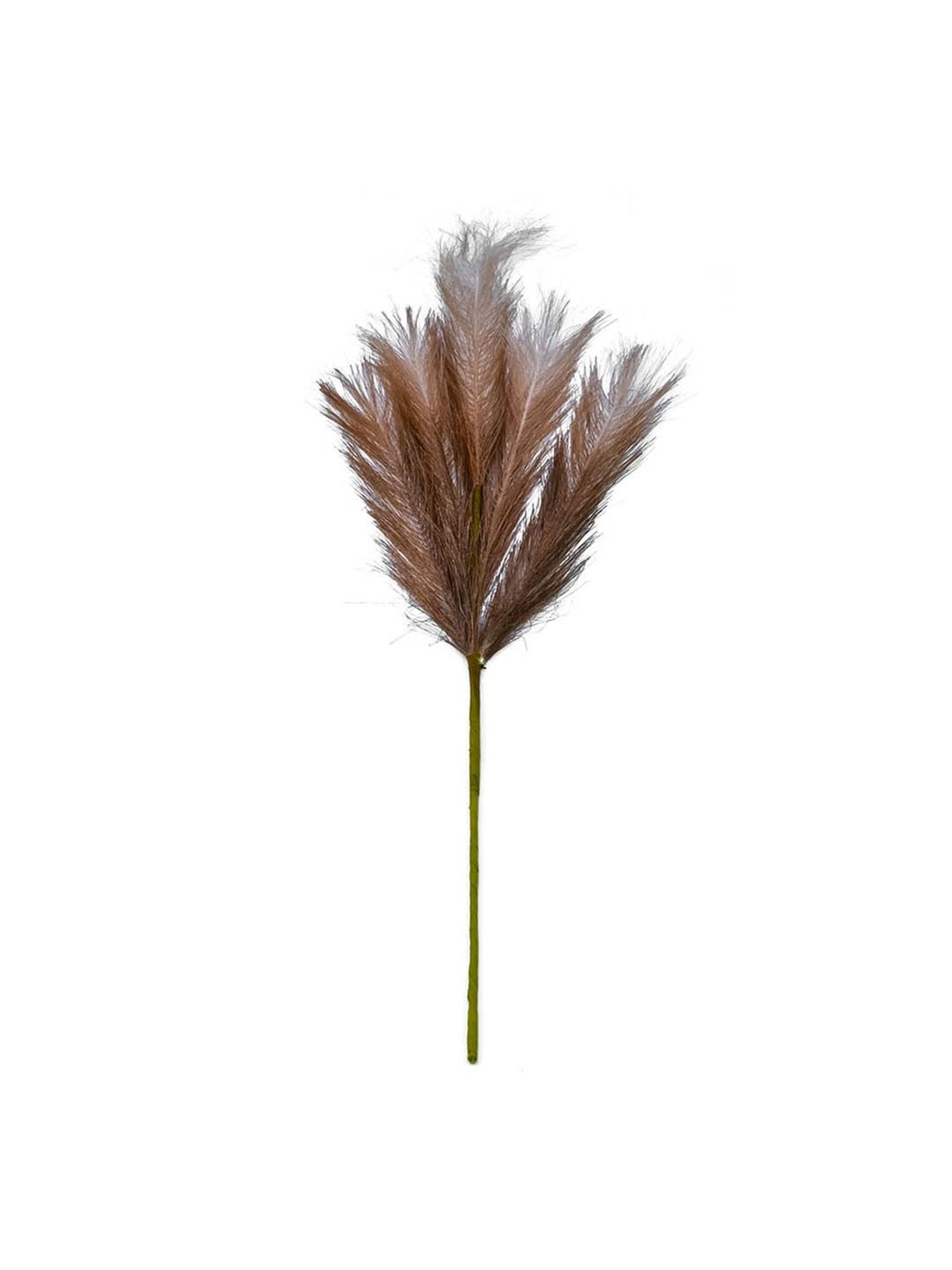 @Home Brown Plastic Artificial Pampas Grass Stick