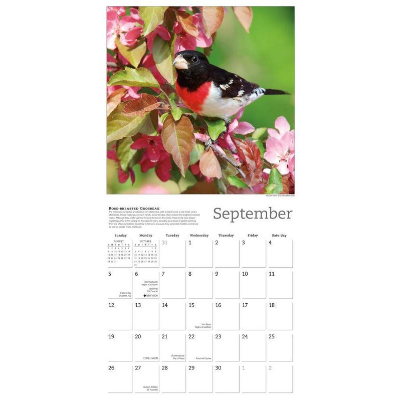 Sellers Publishing 2021 Songbirds of North America 16-Month Wall Calendar Sellers Publishing