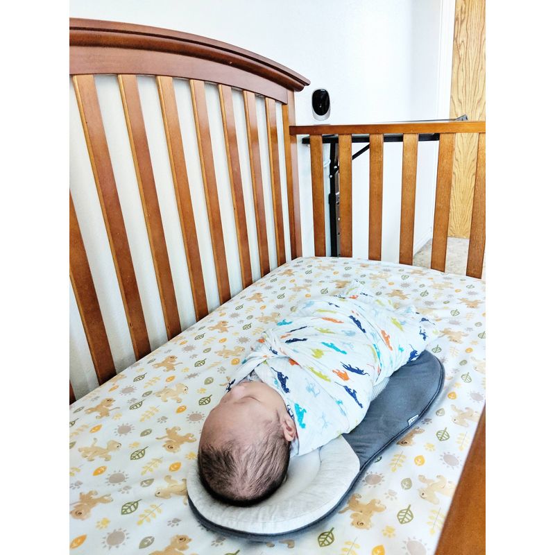 Infant Optics Digital Video Monitor DXR-8 Pro